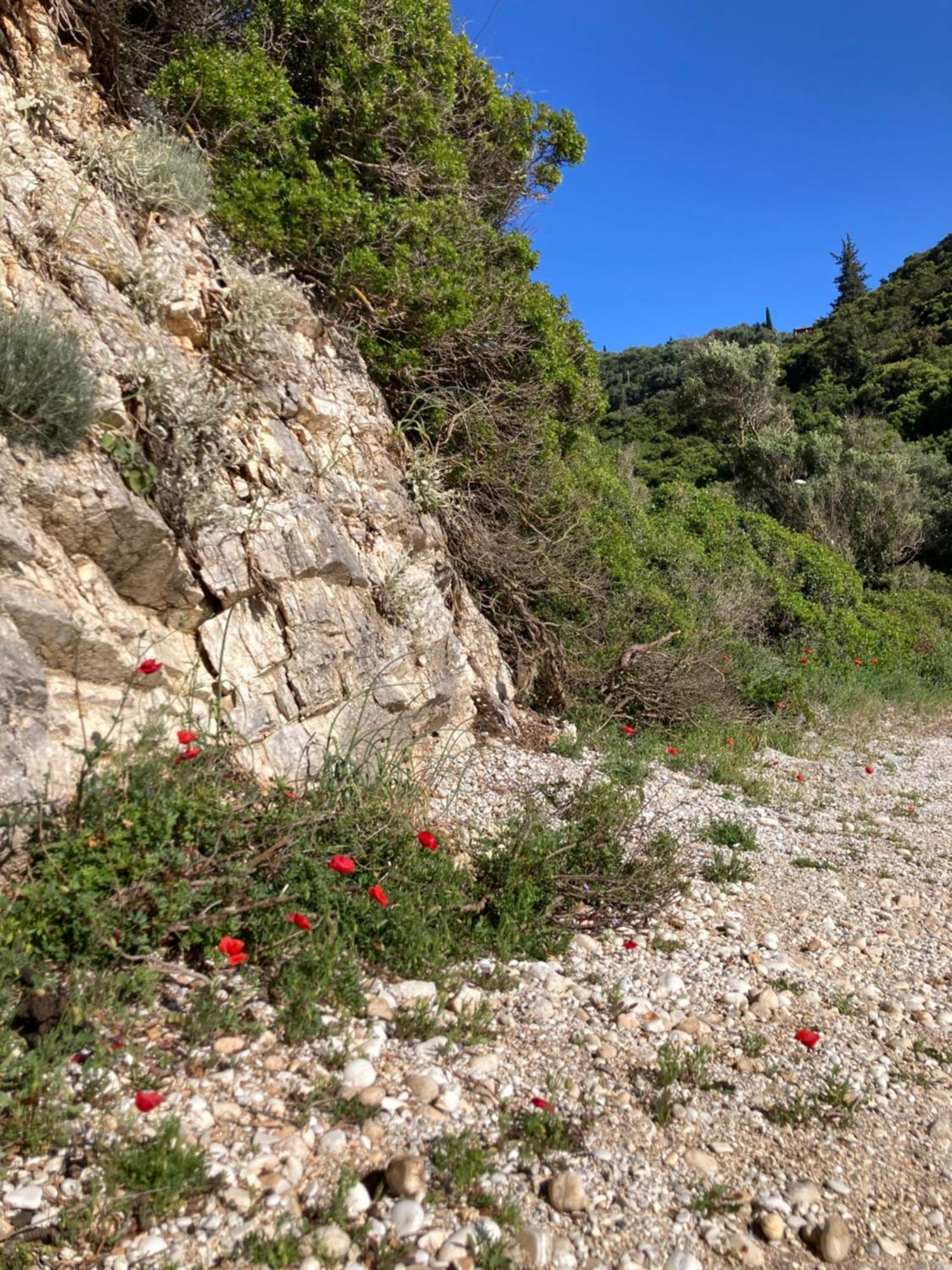 Kokkini Peach Budget Kokkínion Esterno foto